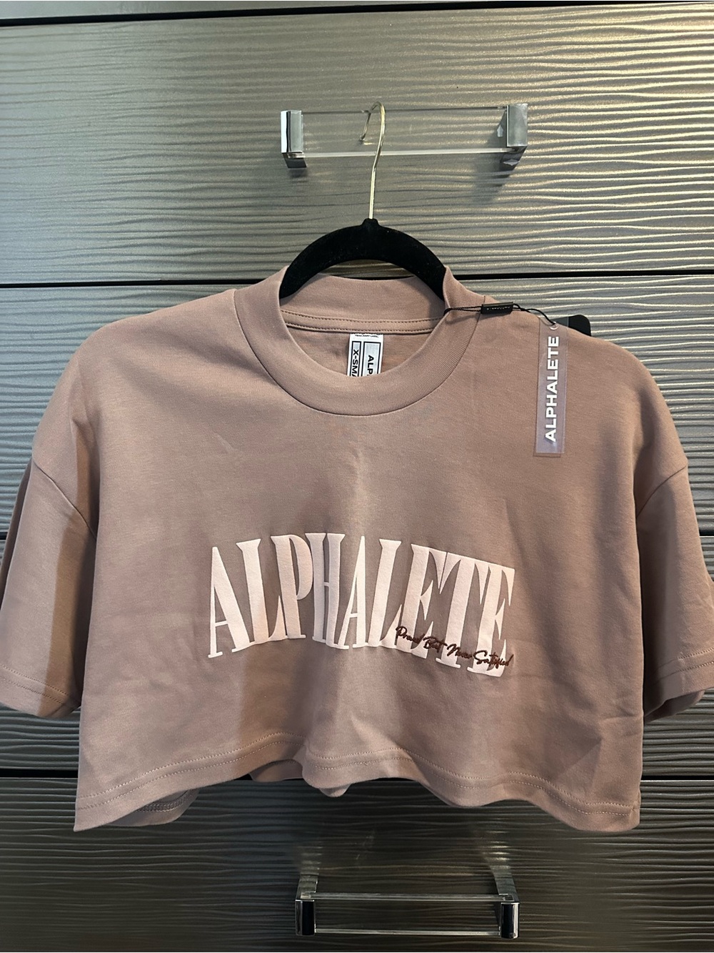 Alphalete Cropped Logo Tee in Mauve
